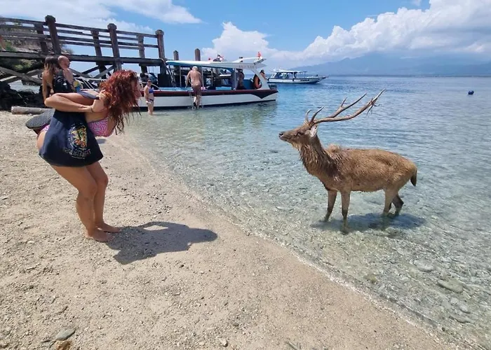 佩母得兰谱图旅馆 2* 佩母得兰
