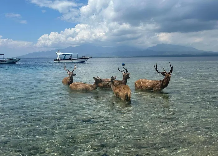 佩母得兰谱图旅馆 2*