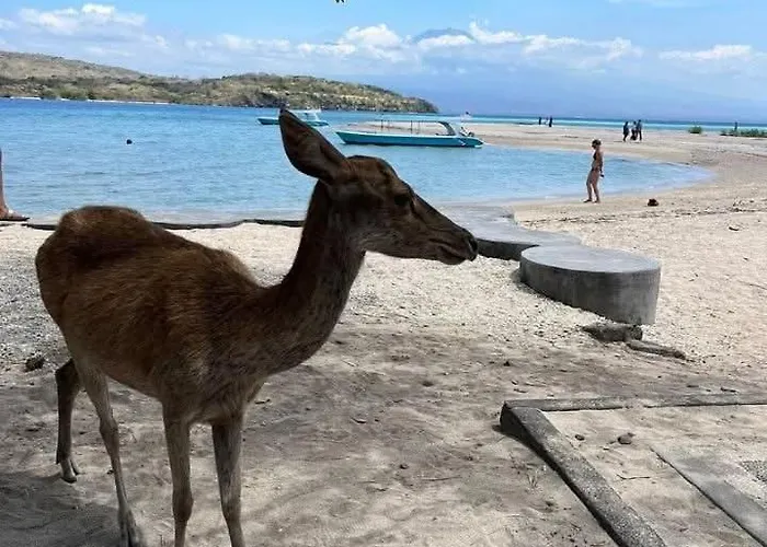 佩母得兰谱图旅馆 招待所